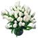 white tulips. Kiev