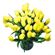 yellow tulips. Kiev