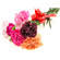 Mixed Color Carnations. Kiev